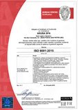 ARUBA_SPA_ISO_9001_ITA_rev-4